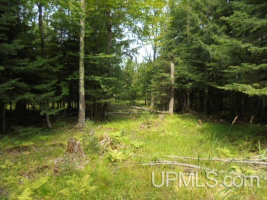 TBD M-107, WHITE PINE, MI 49971 - Image 1