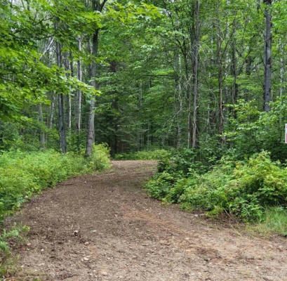 TBD DREAM LAKE RD LOT 2, TIPLER-WI, WI 54542, photo 5 of 6