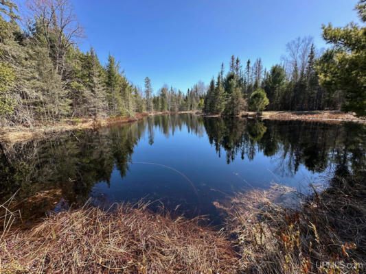 TBD 15 ACRES GREEN, MICHIGAMME, MI 49861 - Image 1