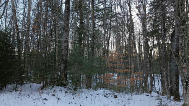 LOT 49 HEWITT, HURLEY C-WI, WI 54534, photo 3 of 24