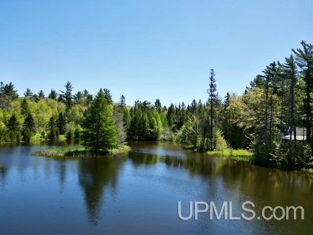THEILERS ROAD, MOHAWK, MI 49950, photo 1 of 57