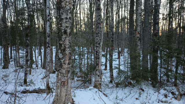 LOT 49 HEWITT, HURLEY C-WI, WI 54534, photo 2 of 24