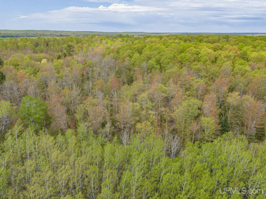 120 ACRES HWY 2, MARENISCO, MI 49947, photo 2 of 25