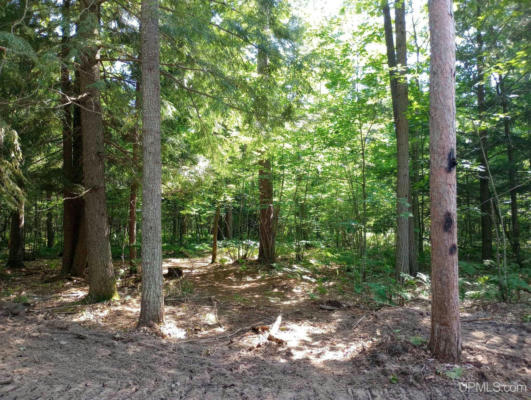 TBD WHITE PINE (LOT 2), MARQUETTE, MI 49855, photo 4 of 8