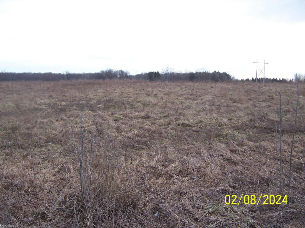 LOT A VINCENT RD, NORTH STREET, MI 48049, photo 1 of 2