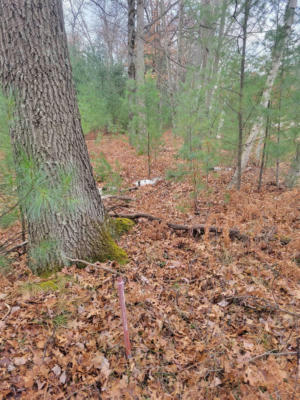 JACKPINE TRIAL TRAIL, ALGER, MI 48610, photo 3 of 11