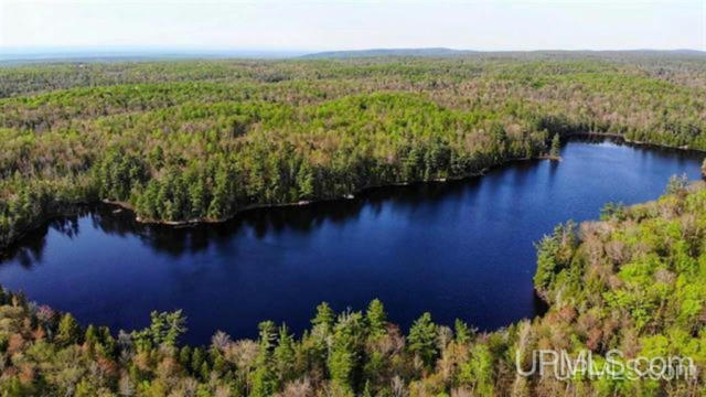 TBD DURCHMAN LAKE, L'ANSE, MI 49946 - Image 1