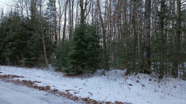 LOT 49 HEWITT, HURLEY C-WI, WI 54534, photo 4 of 24