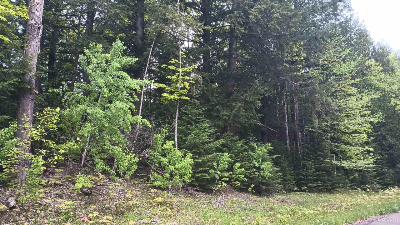 LOT 49 HEWITT, HURLEY C-WI, WI 54534, photo 1 of 28