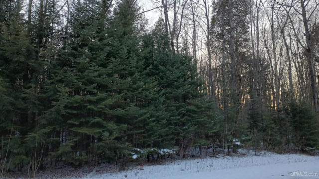 LOT 49 HEWITT, HURLEY C-WI, WI 54534, photo 5 of 24