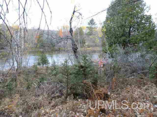 297 ACRES OLD M69, CRYSTAL FALLS, MI 49920, photo 5 of 21