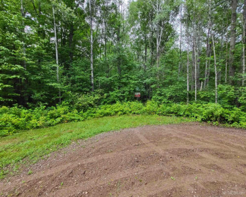 TBD DREAM LAKE RD LOT 2, TIPLER-WI, WI 54542, photo 2 of 6