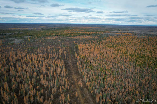 280 ACRES TBD 38TH, ROCK, MI 49880, photo 4 of 17